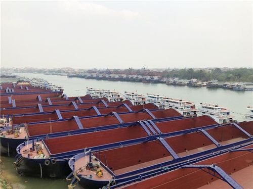 广西桂平河岸造船忙 组图