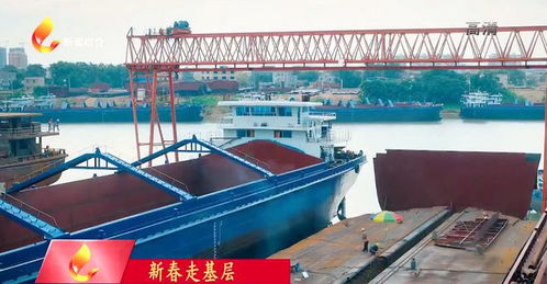 厉害了 桂平打造广西内河最大的船舶建造基地...